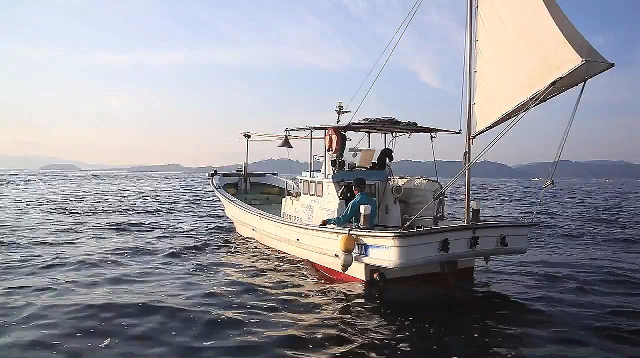 传统渔业:手丝钓鱼,真鲷鱼上来要放气