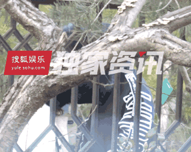 《我的體育老師》王小米談戀愛了！男友居然不是張嘉譯這種帥大叔