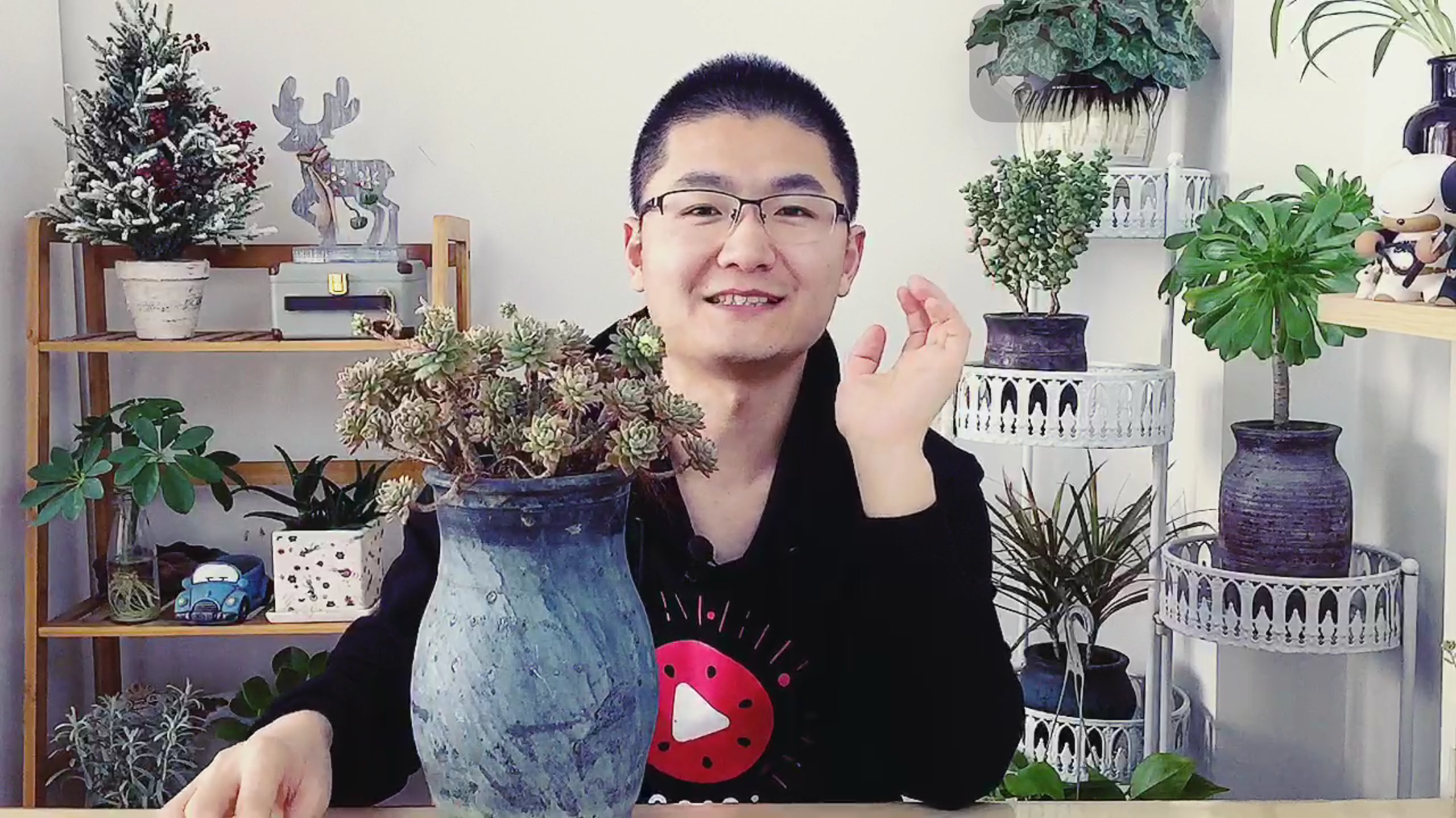 多肉植物开花,剪掉的花剑扔在花盆里,也能长出多肉小苗