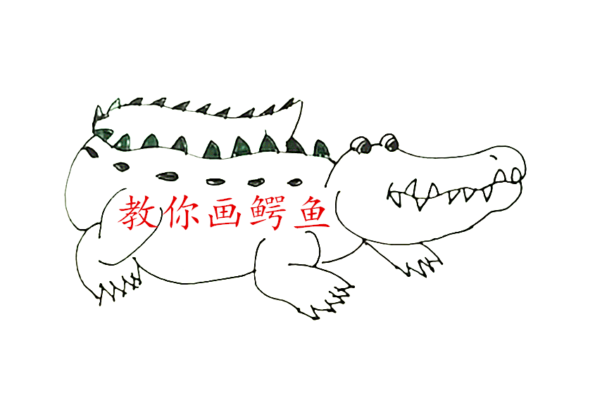栩栩如生的鳄鱼几下就画好了,用心看你也能画好鳄鱼的简笔画