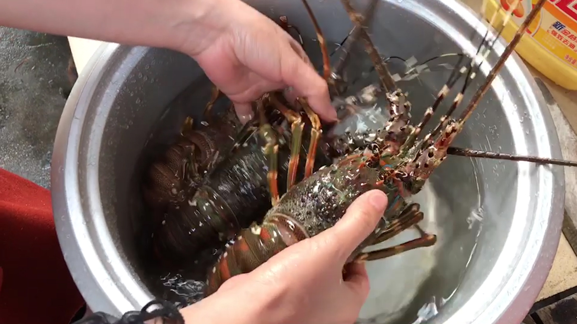 湛江农村年夜饭,大龙虾做法各显妙招,这个做法你肯定没想到