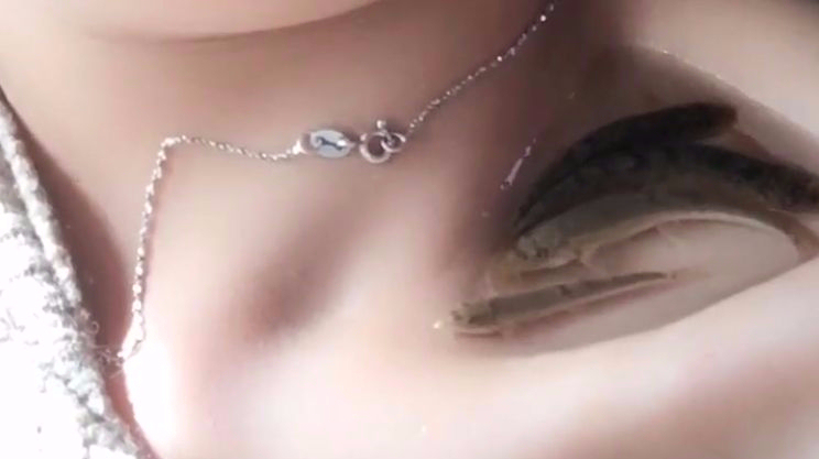 锁骨里养鱼原来是这个样子的,太神奇了,好羡慕!