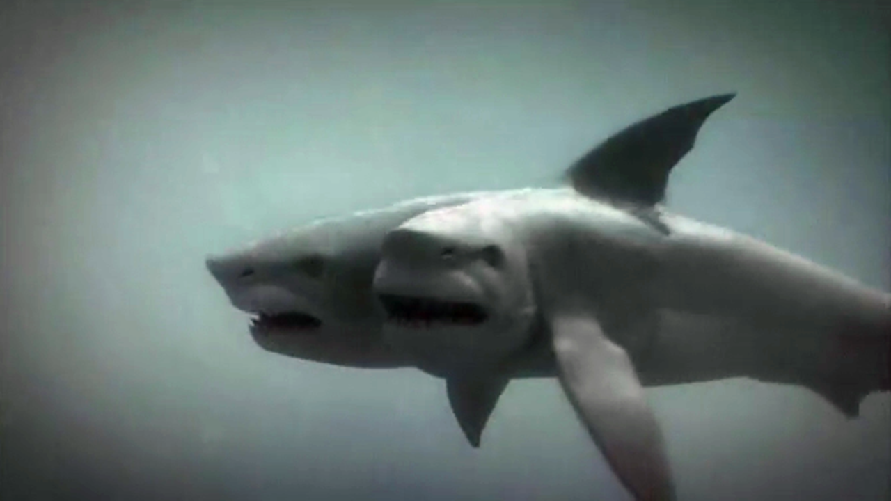 4分钟看搞笑科幻片《夺命双头鲨》,看到最后才知道谁是主角