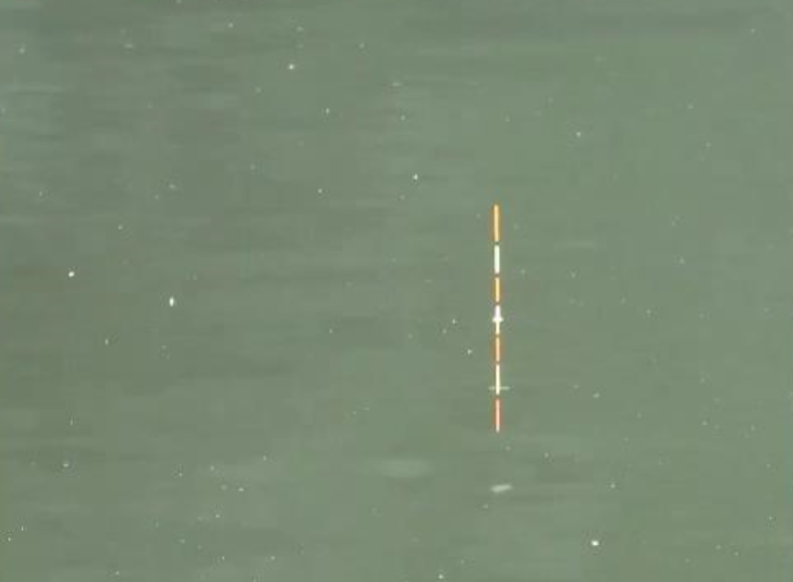 高清浮漂,这么大的连续吃口会是什么鱼呢,应该是死口了