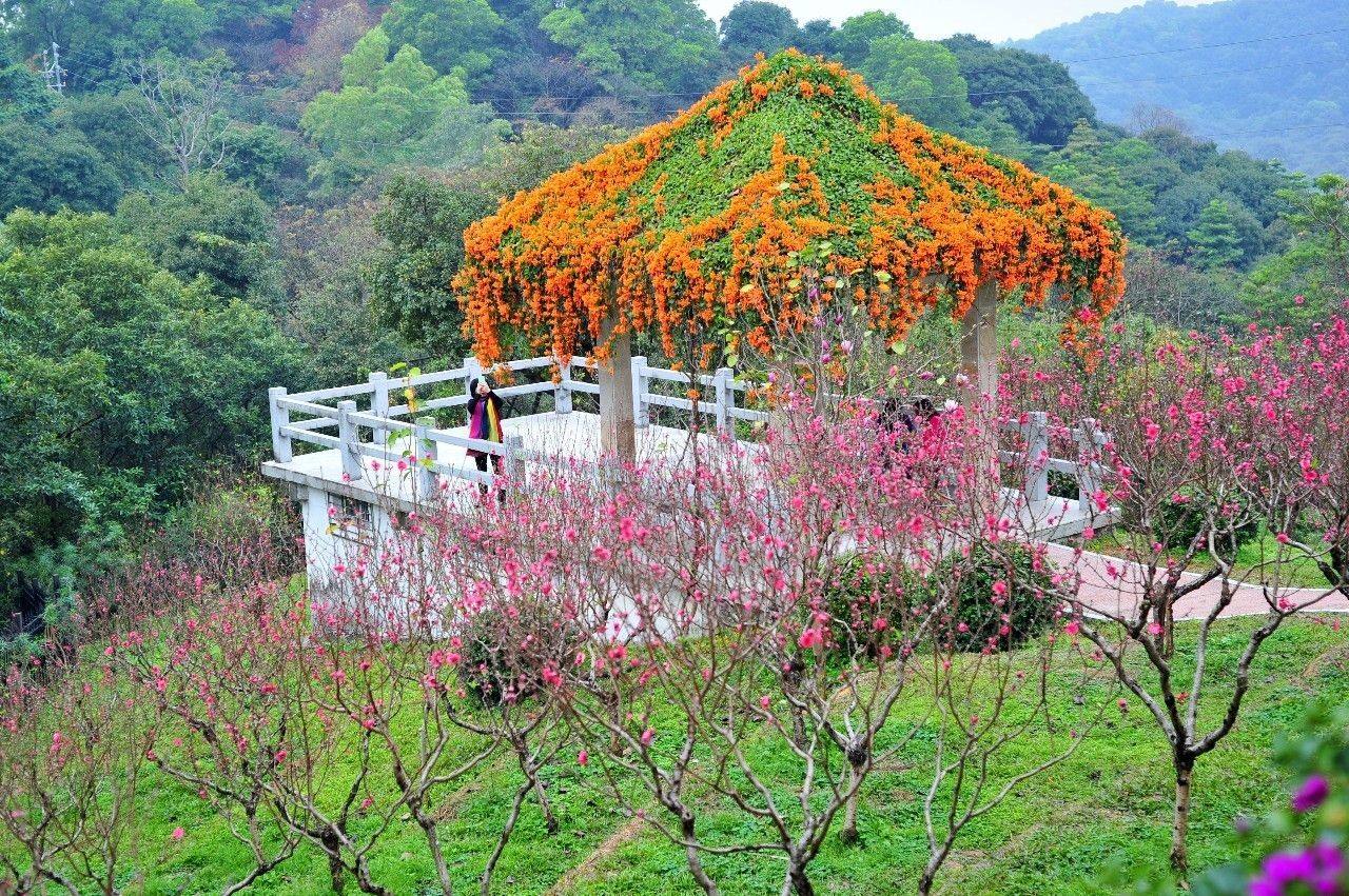 [图]江湖并不远,桃花岛就在普陀区岛屿,金庸带你游天下