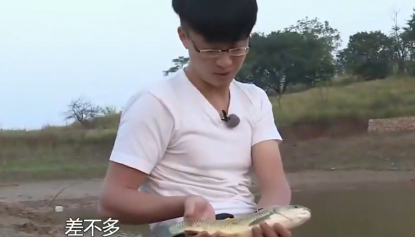 在临武香塘里钓友用西红柿作饵钓中野生的草鱼,效果还是很不错的