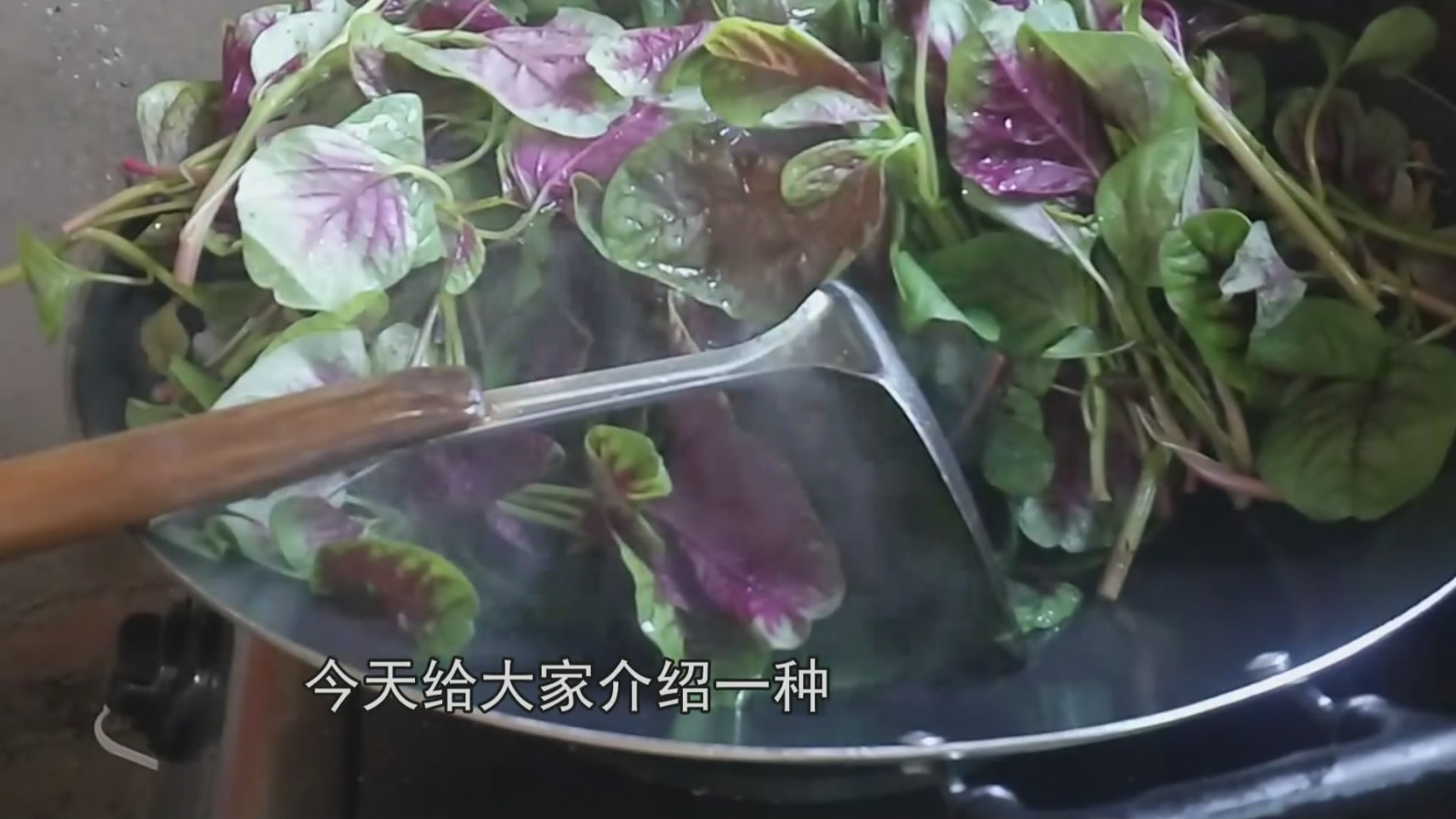 农村一种不起眼的野菜,中医称是“长寿菜”,城里人抢着吃!