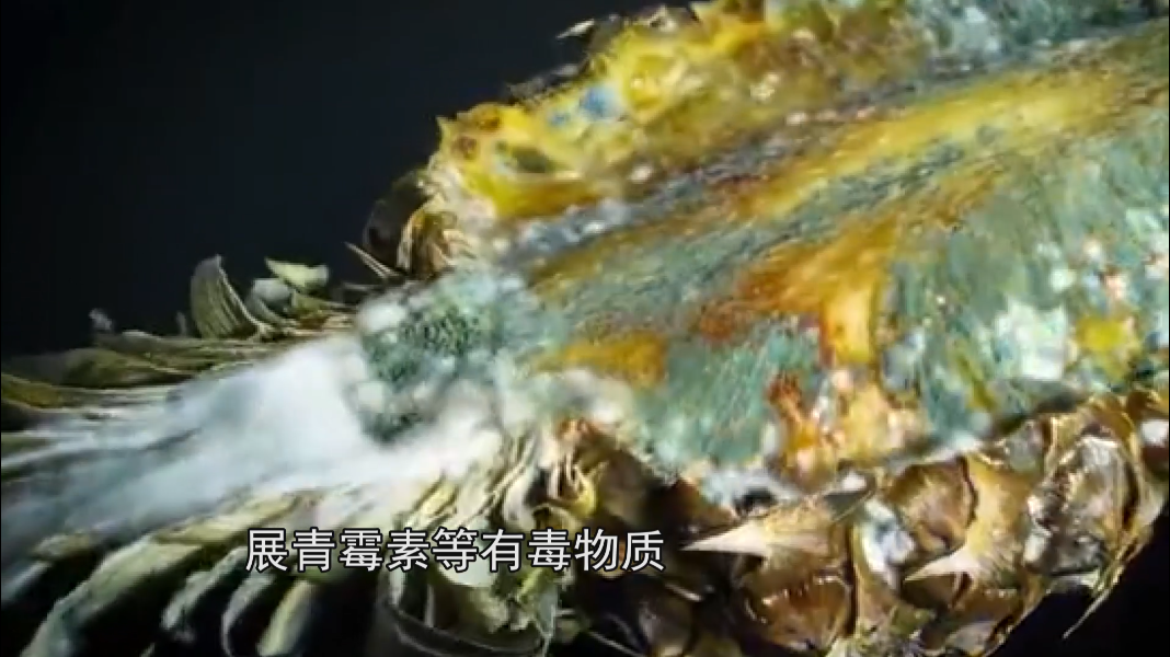 发霉的食物切除霉菌的部分,还能吃吗?这3种食物发霉可别再吃了
