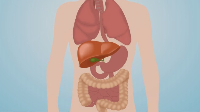 胃肠息肉是什么病？随着胃肠镜检查的普及，息肉的发现率逐渐增高