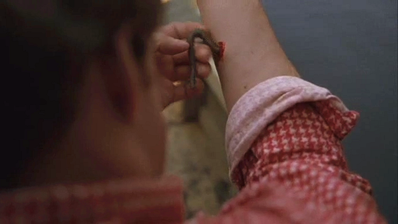 蚯蚓变异了,吃土的动物都开始吃人啦!好厉害