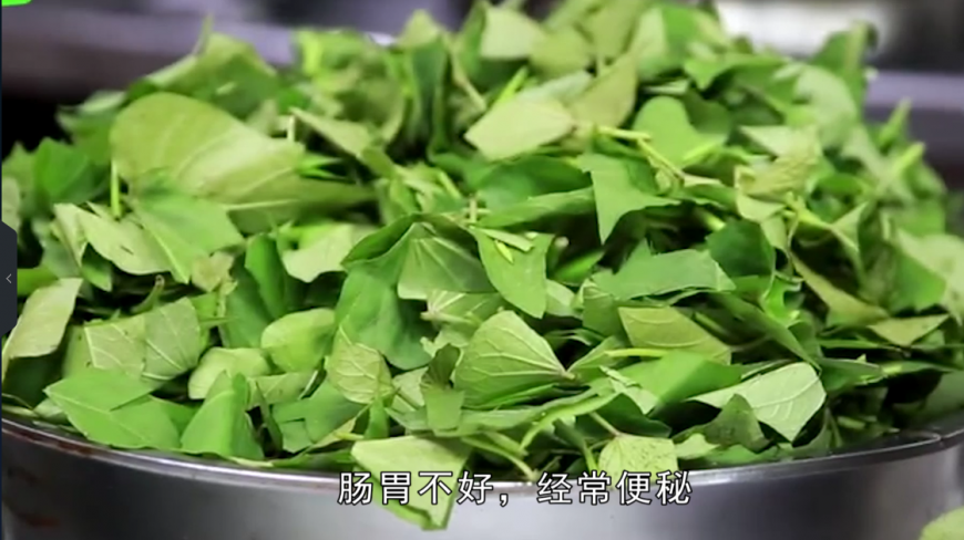红薯叶原来还有这样的功效,更年期都能治,现在知道还不晚!