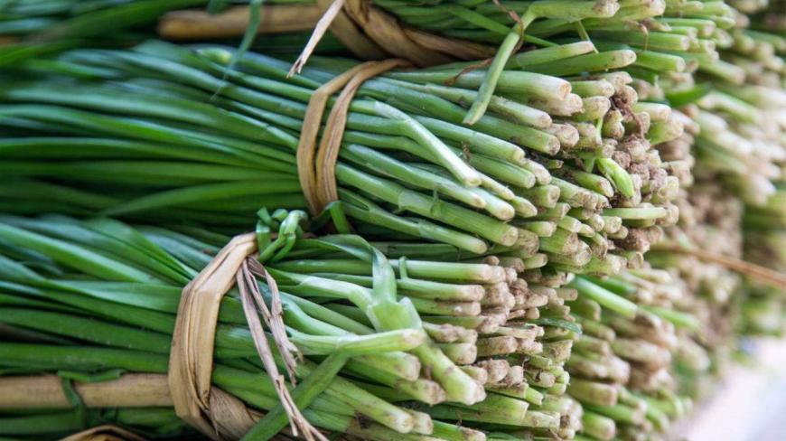 韭菜籽有什么功效作用?吃韭菜籽有怎么样的变化?