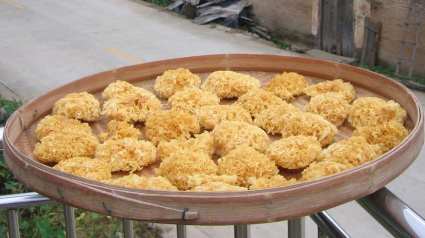 银耳的功效与作用:可是银耳千万不能和什么一起吃?