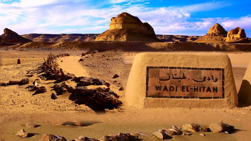 沙漠深处发现巨型生物骨架,遍地骸骨引爆游客蜂拥探秘!