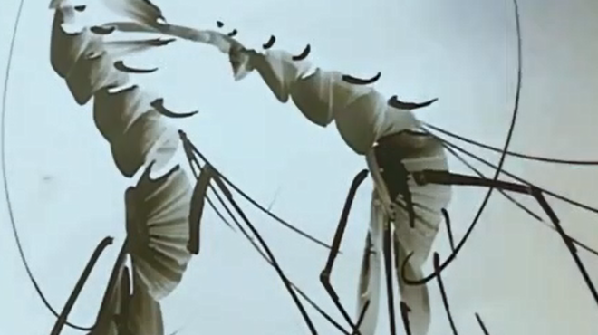 原来大虾也可以这样画,简单几笔,一幅画就完成了,太厉害了