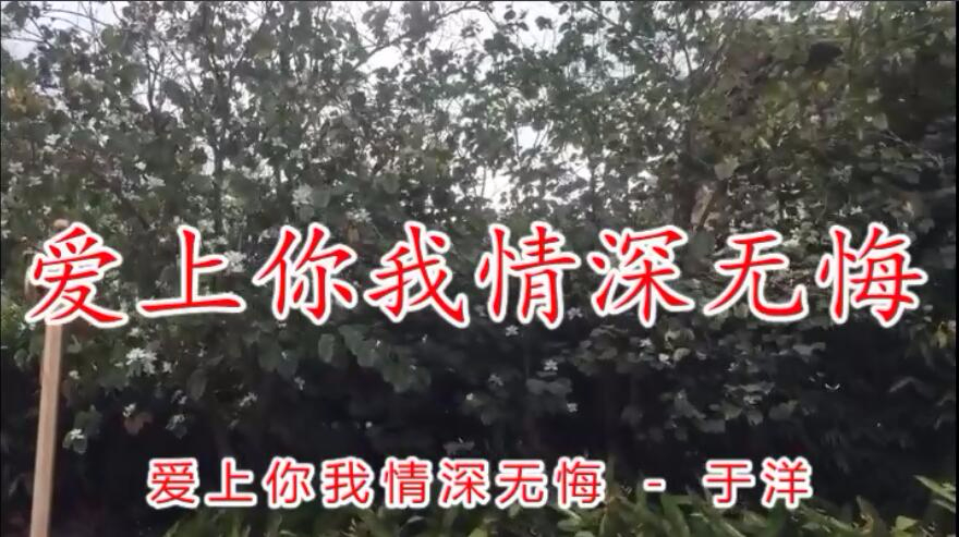 [图]一首甜蜜情歌《爱上你我情深无悔》送给你