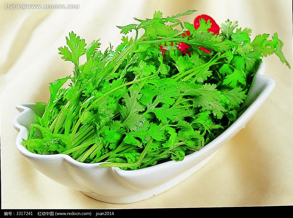 香菜煮水的功效:有那样的神奇,你知道吗?