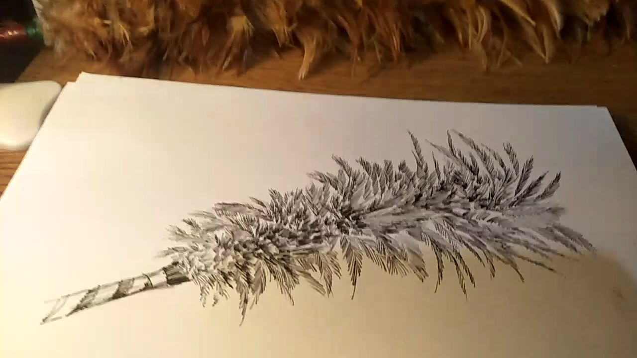 钢笔画——功能多样的的鸡毛掸子,专治各种不听话