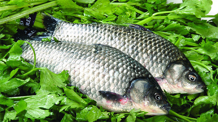 鲫鱼汤营养全面健脾利湿和中开胃，7类人要多喝，2类人禁用！