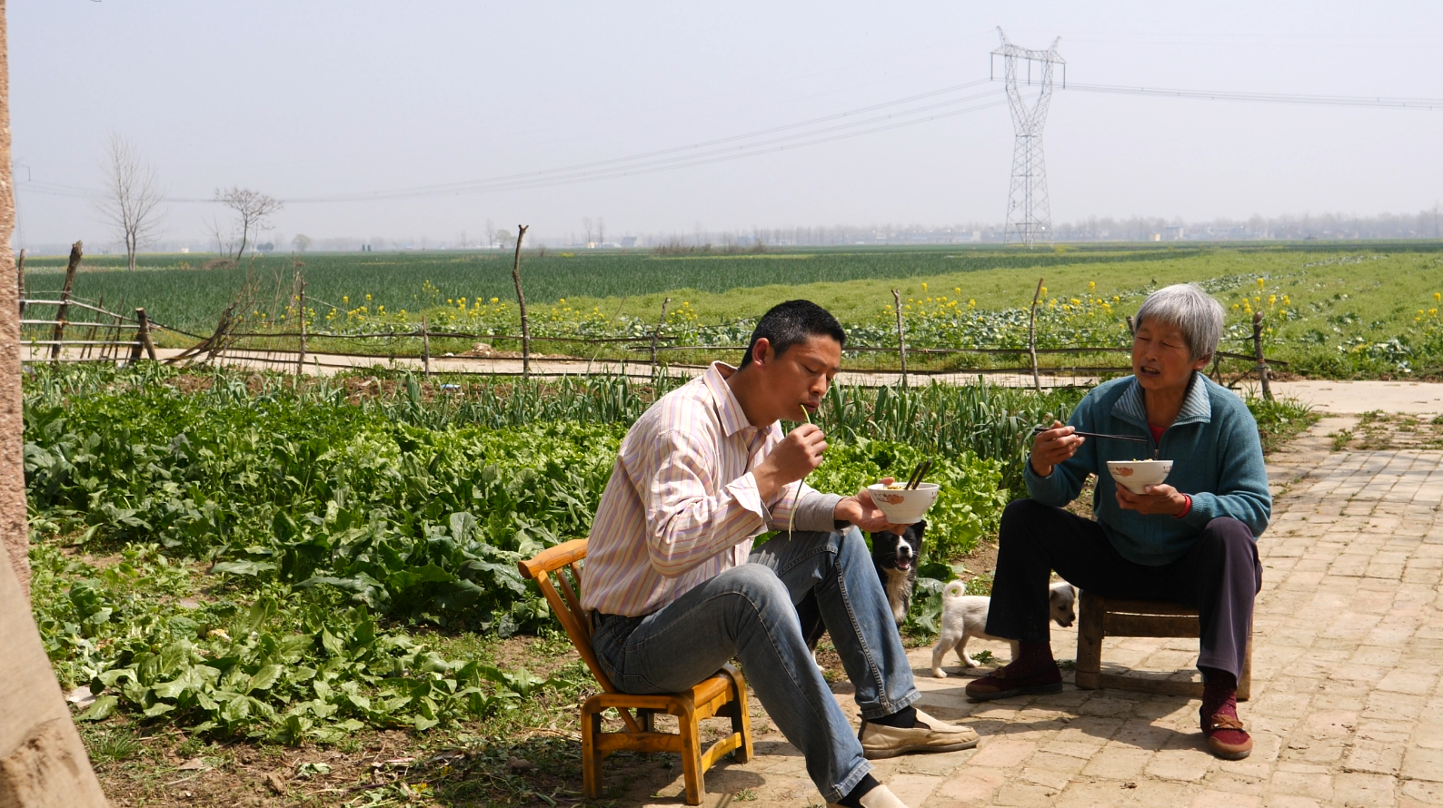 女人最讨厌男人生吃这个菜,河南硬饭首选,你肯定也喜欢吃!