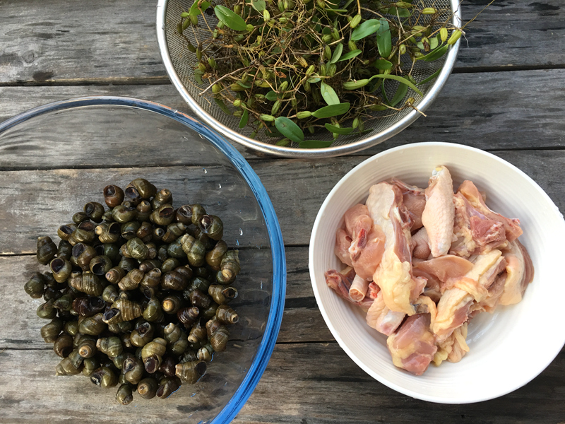 春季上火就喝石橄榄煲的汤,清热润肺又利湿,一次来两碗都嫌少