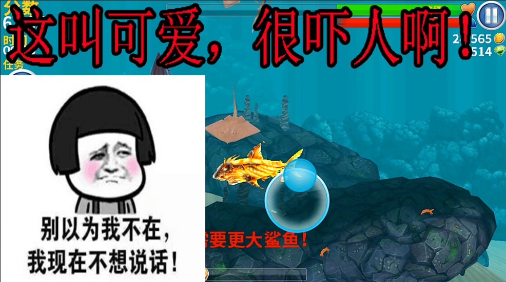 饥饿鲨世界:这么可爱的小鲨鱼你有没有见过?