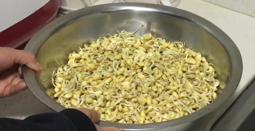 10年菜农教你自制天然黄豆芽,安全放心吃,3块钱就能种出一大盆