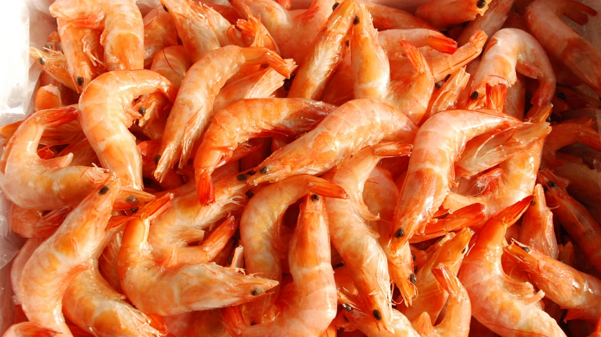 虾浑身都是宝,常吃虾能防治这5大疾病,后悔平时吃太少