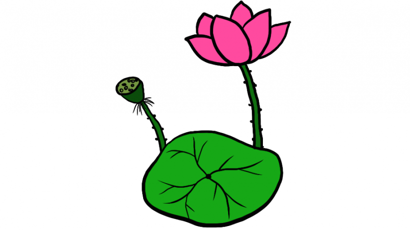 简笔画荷花、荷叶、莲蓬,用1分钟视频教程,手把手教孩子学画画