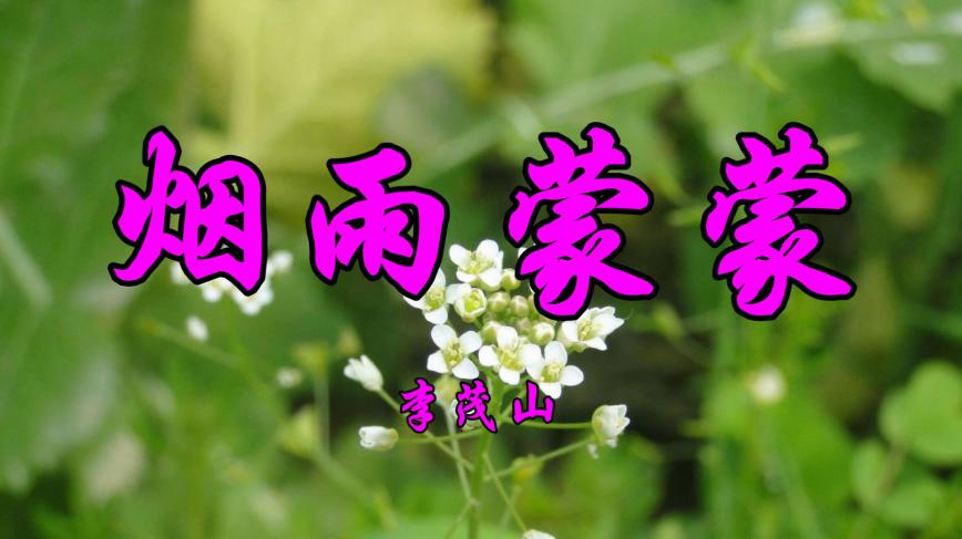 [图]怀旧老歌,李茂山一首《烟雨蒙蒙》带来满满的回忆