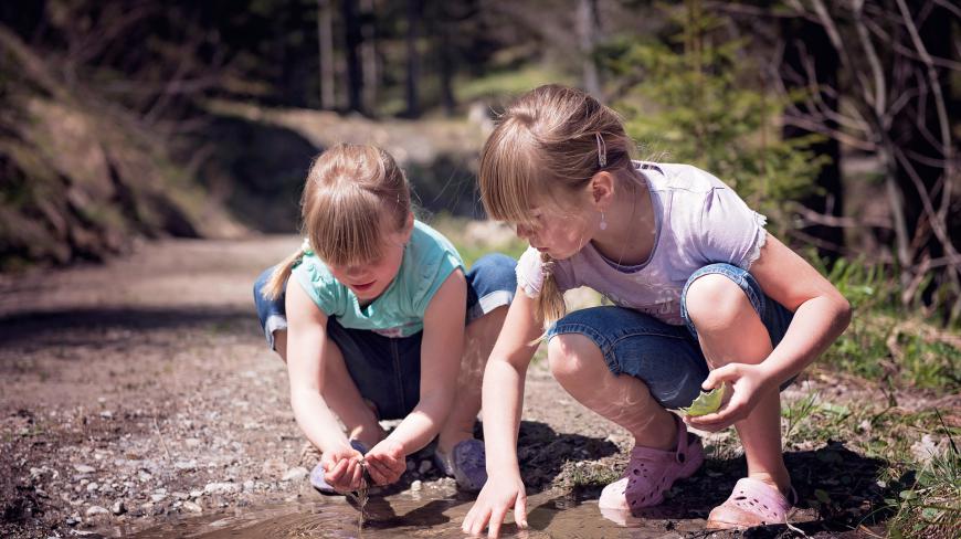 为什么下雨后水里会有鱼?到底哪里来的?众网友直呼:不可思议