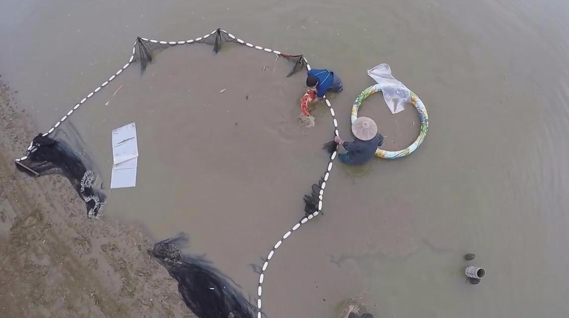 实拍:高清拍摄村民捕鱼过程,一网下去全是活蹦乱跳的大肥鱼