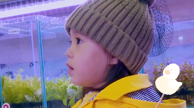 逛花市偶遇棉花糖,咘咘看着都咽口水了,她能忍住诱惑吗?