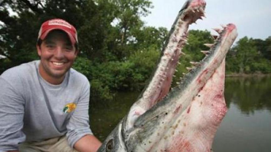 世界上最具破坏性的鱼,只需要一条,就能灭掉一个水系!