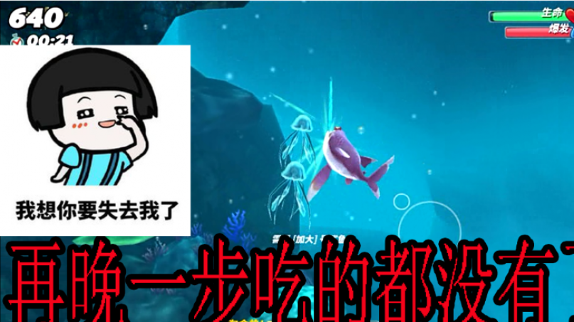 饥饿鲨世界:没想到这条粉红色的鲨鱼游起来好慢啊