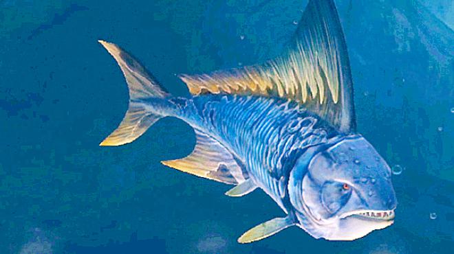 侏罗纪世界522水下巨兽30级纳博格米努斯鱼 小鸢解说