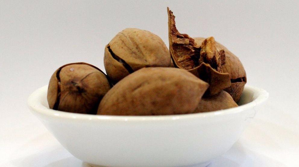 还在吃药补肾?6大补肾食谱,专家教你科学补肾