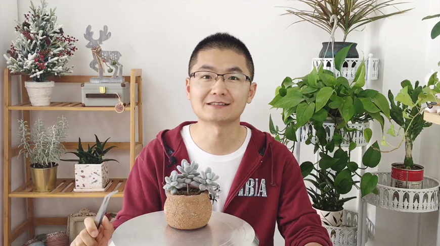 大家都说这盆多肉植物养的好,其实方法很简单