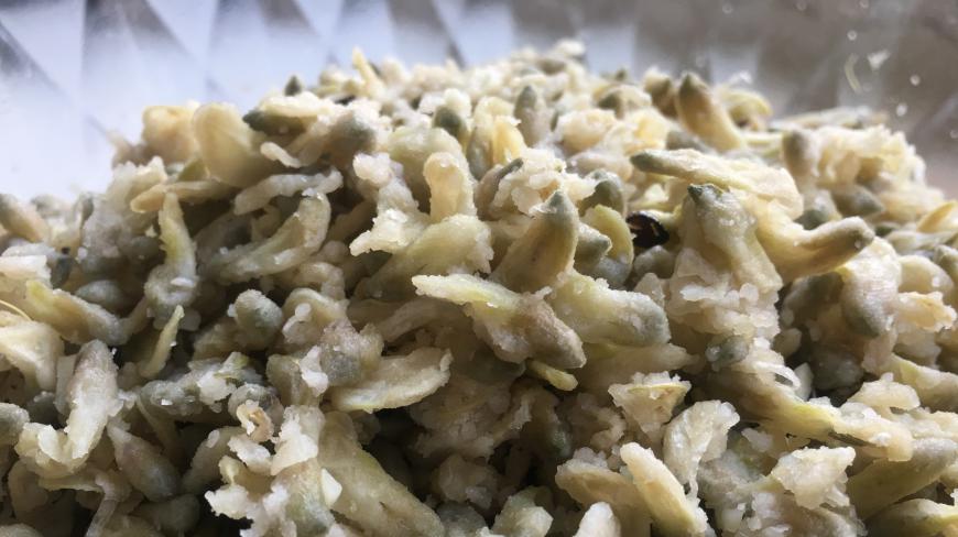 这蒸菜太好吃了,儿子连吃三碗,做法简单,家人都特别喜欢!