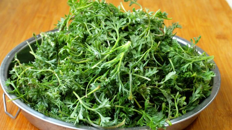 药补不如食补,这种白蒿的新做法,养肝护肝又简单,太诱人了