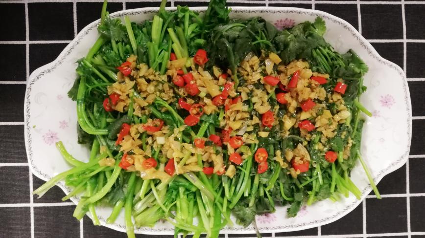 没想到香菜还可以这样吃,爽口开胃,食欲大增,一吃就上瘾