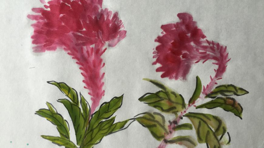 如何教小朋友们画鸡冠花