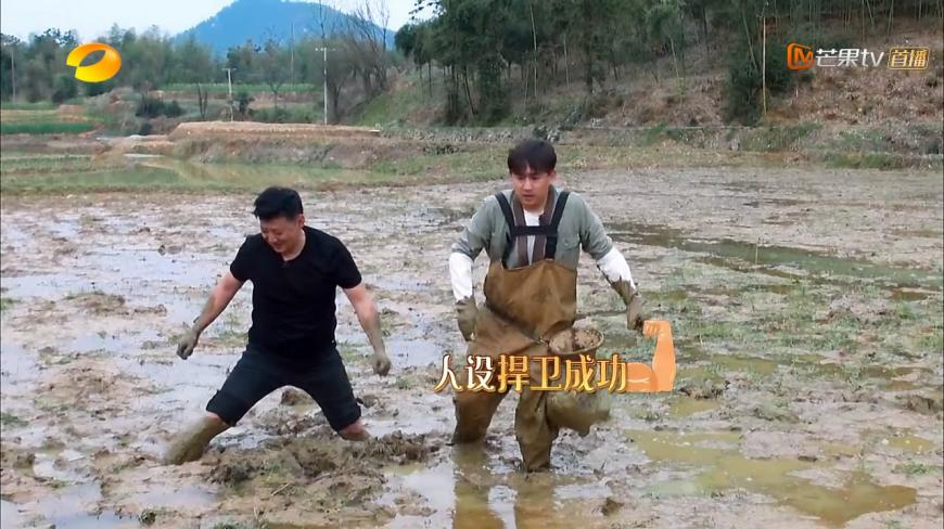 黄磊捉黄鳝,行走的百科全书不断解锁新大陆