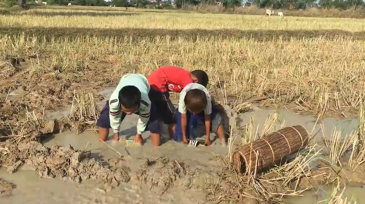 一群小朋友在农田里舀水摸鱼,这样做太累了吧