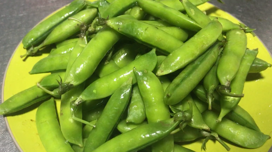 教你做五香豆角,奶奶传下来的秘方,老爸下酒菜绝对少不了它