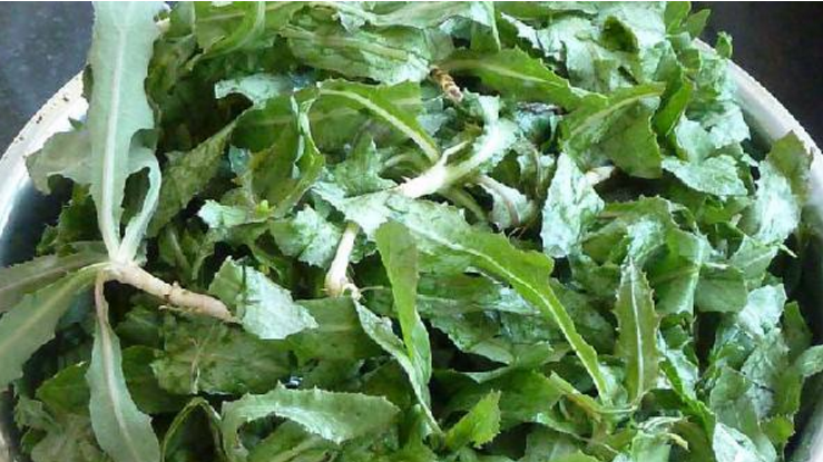 春天这3种野菜不应错过!养肝补血样样行,看看你吃过几种?