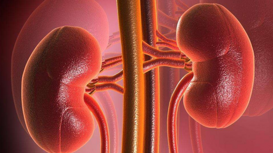 孩子都爱喝的水,含太多的防腐添加剂,大量饮用会加重肾脏负担