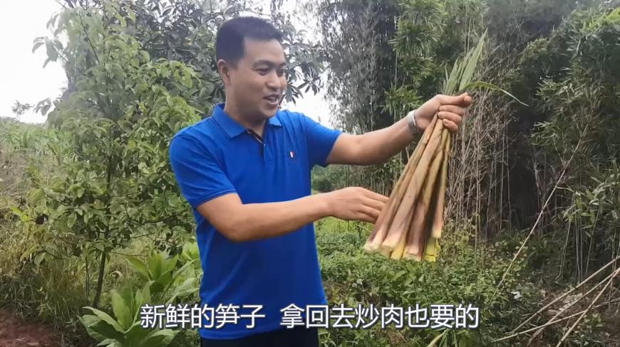 清晨去掰带着露水的竹笋,回家做了一碗鲜嫩的肉片汤,这就是生活