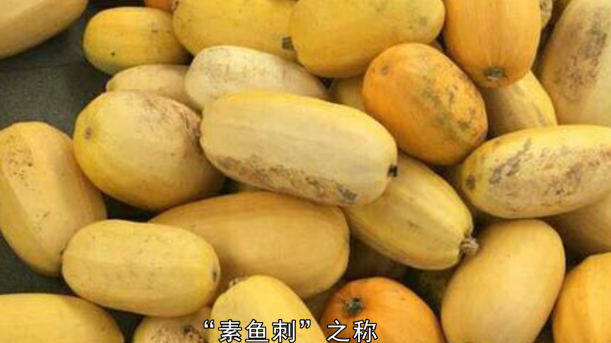 粉丝瓜你认识吗?它有什么秘密?见到了不认识太可惜!