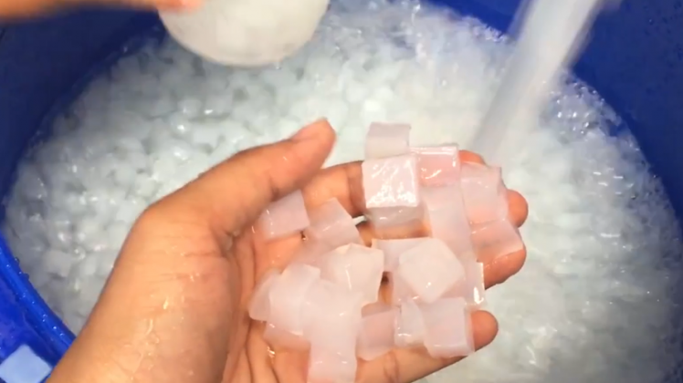 珍珠奶茶里的椰果比椰肉还好吃?那就对了,不是椰肉是人造细菌